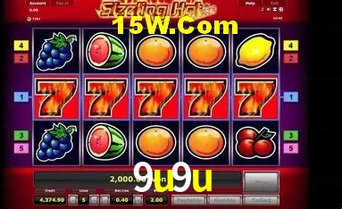 Sistemas de Segurança 9u9u
